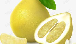 柚子漫画,趣味横生的日常喜剧之旅